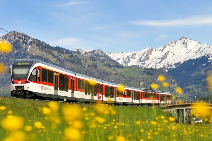 Hardcore Swiss Scenic Train Loop — 4 Panoramic Expresses in One Day from Zurich photo 3