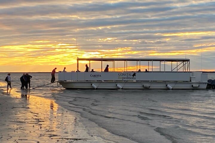 Bulls Island Ferry: Cape Romain Wildlife & Boneyard Beach Day Trip photo 4