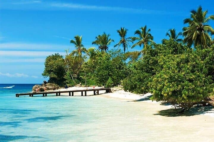 Saona Island Catamaran Day Trip from Punta Cana: Natural Pool, Beach Lunch & Party photo 3