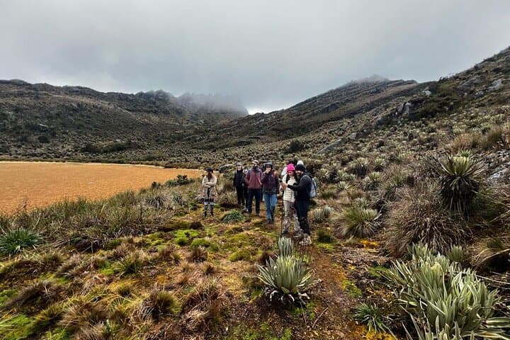 Sumapaz Páramo Hike: Walk to Laguna de Sie from Bogotá photo 6