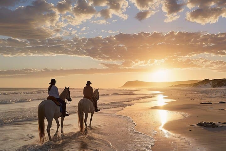 Noordhoek Beach Horseback Riding — Private Long Beach Equestrian Tour from Cape Town
