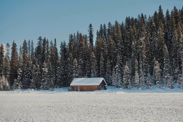 One-Day Shuttle to Lake Louise, Emerald Lake & Johnston Canyon photo 3
