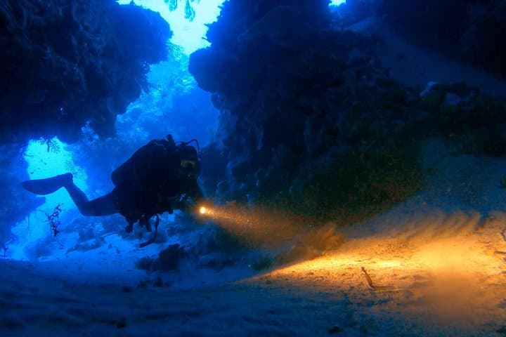 Cozumel 5-Day Private Dive Pack — Guided Reefs of Cozumel National Park photo 1