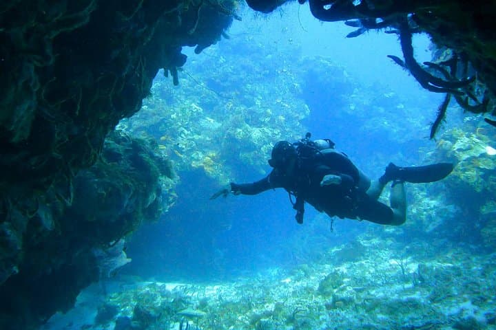 Cozumel 5-Day Private Dive Pack — Guided Reefs of Cozumel National Park photo 2