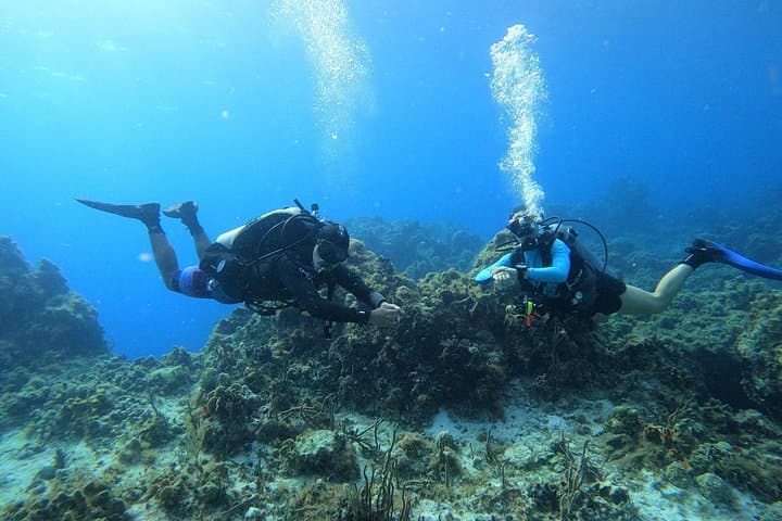 Cozumel 5-Day Private Dive Pack — Guided Reefs of Cozumel National Park photo 4