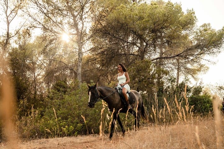 Ibiza Private Horseback Riding: 1.5-Hour Nature Trail Experience photo 2