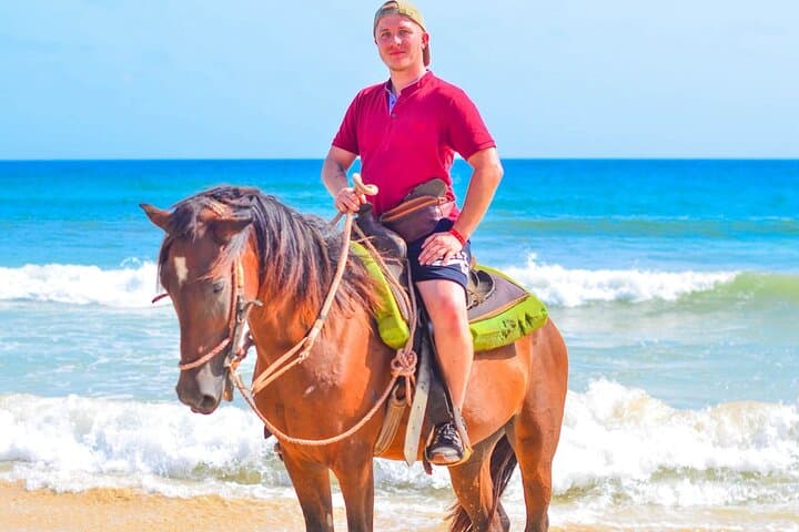 Discover Tranquility on a Punta Cana Horseback Beach Tour photo 5