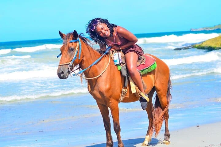 Discover Tranquility on a Punta Cana Horseback Beach Tour photo 4