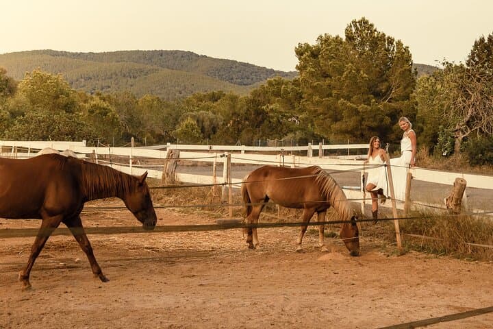 Douro Valley Horseback Riding, Mountain Lunch & Quinta Wine Tasting photo 4