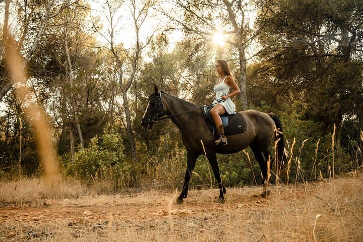 Chianti Horseback Riding, Wine Tasting & Lunch from Florence photo 5