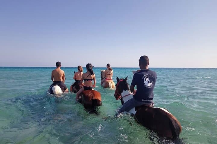 Sunset Horseback Ride: Desert, Beach & Red Sea Experience in Hurghada