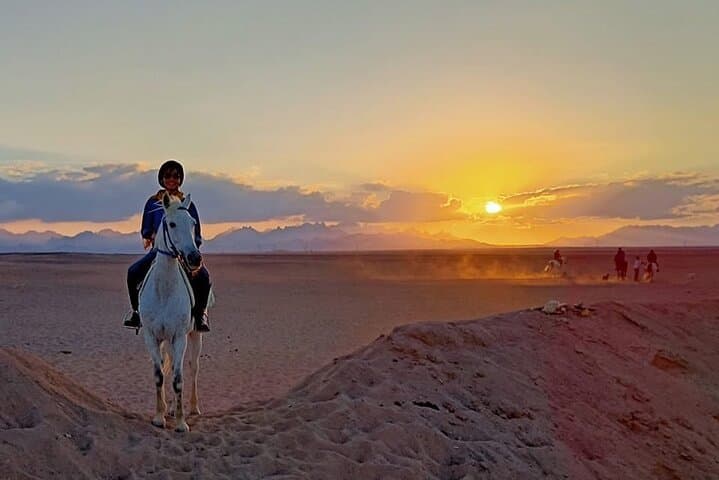 Sunset Horseback Ride: Desert, Beach & Red Sea Experience in Hurghada photo 3