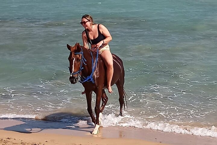 Sunset Horseback Ride: Desert, Beach & Red Sea Experience in Hurghada photo 6