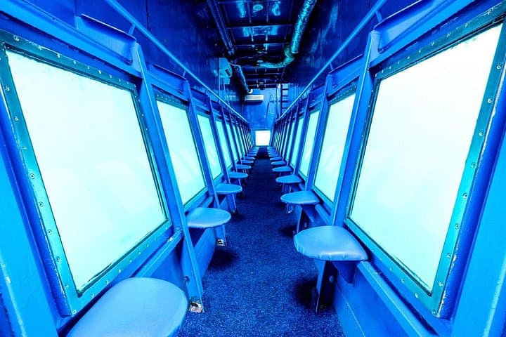 Roatán Glass‑Bottom Boat Tour over the Mesoamerican Barrier Reef photo 2