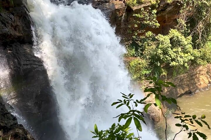 Goa Harvalem Waterfall & Spice Plantation: Full-Day Private Tour from Panaji photo 5