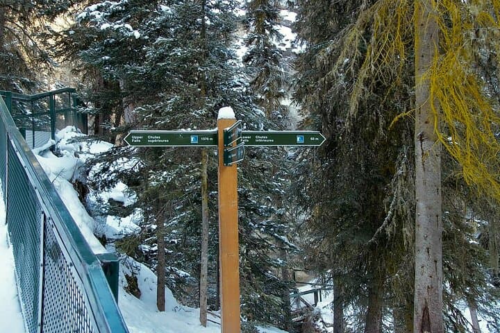 Banff Small-Group Day Tour: Johnston Canyon, Bow Lake, Two Jack & Minnewanka photo 6