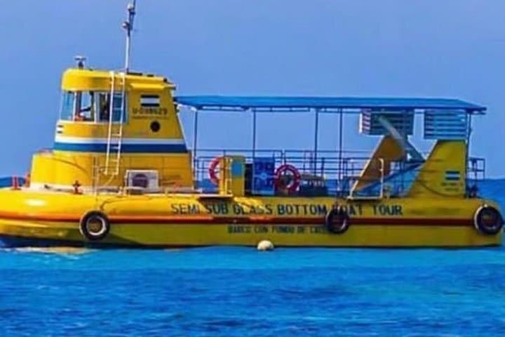 Roatán Glass‑Bottom Boat Tour over the Mesoamerican Barrier Reef photo 4