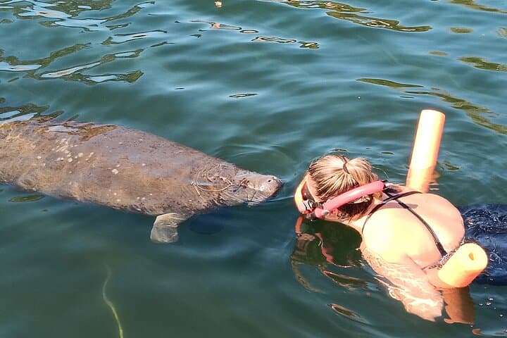Manatee Magic: Private 3-Hour Heated Boat Swim on the Homosassa River