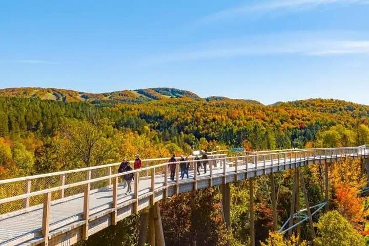 Sentier des Cimes Laurentides: Scenic Hike and Mont-Tremblant Day Trip from Ottawa photo 3