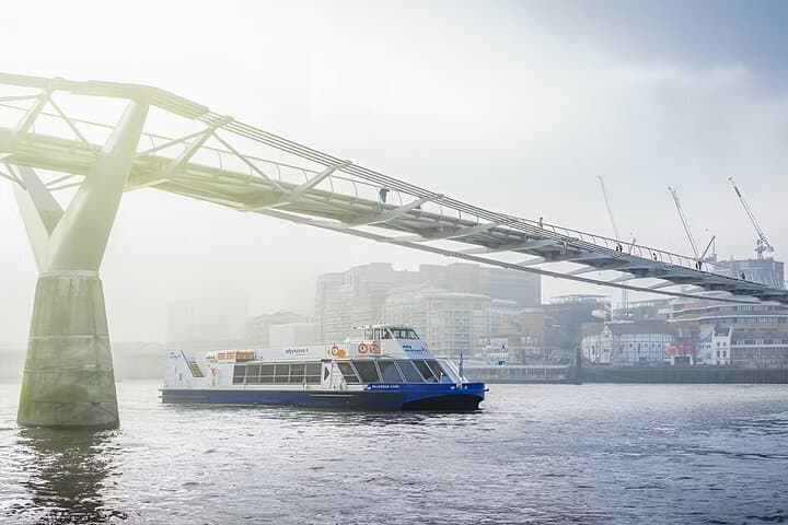 Thames Sightseeing Cruise: Flexible Departure from Westminster to Greenwich
