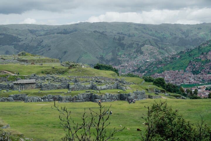 Cusco Private City Tour: Sacsayhuamán, Qoricancha & Alpacas