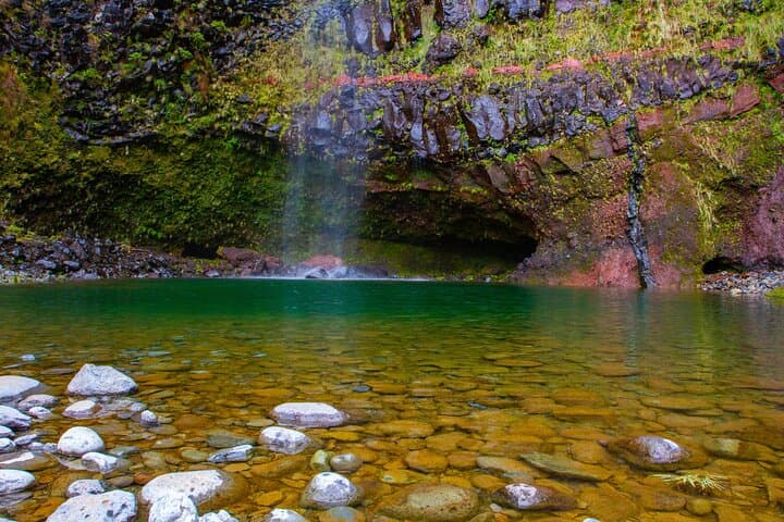 Rabaçal 25 Fontes & Risco Hike in Madeira's Laurissilva Forest photo 4