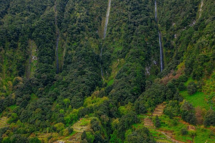 Rabaçal 25 Fontes & Risco Hike in Madeira's Laurissilva Forest photo 5
