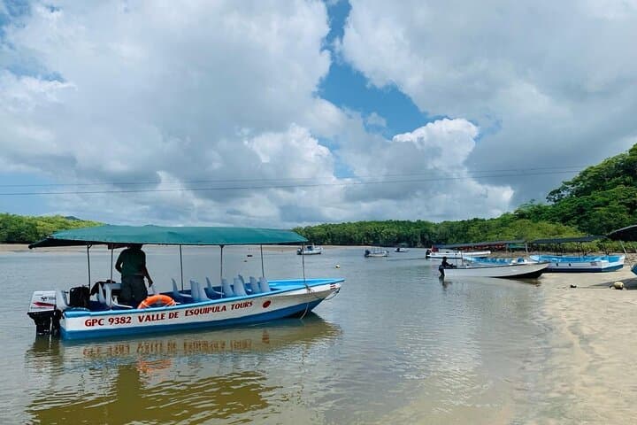 Tamarindo Estuary Boat Adventure: Mangroves, Crocs & Monkeys