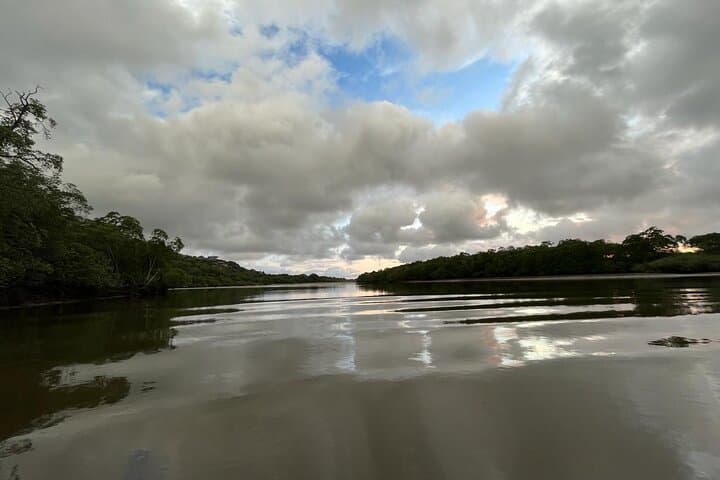 Tamarindo Estuary Boat Adventure: Mangroves, Crocs & Monkeys photo 4