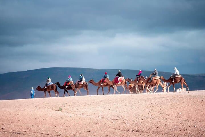 Atlas Mountains Day Trip to Imlil Valley, Waterfalls & Camel Ride from Marrakech
