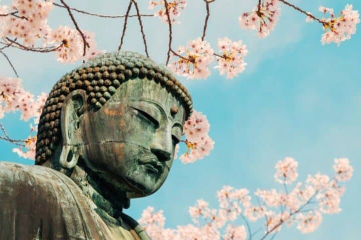 Private Full-Day Kamakura Highlights Tour: Great Buddha, Hase-dera & Bamboo Grove photo 2