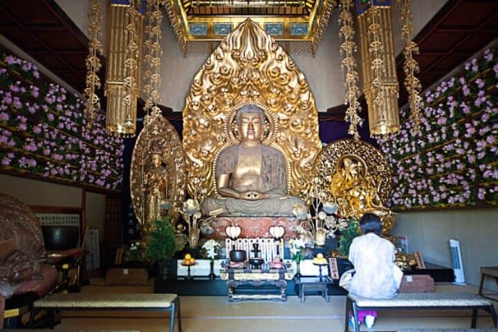 Private Full-Day Kamakura Highlights Tour: Great Buddha, Hase-dera & Bamboo Grove photo 3