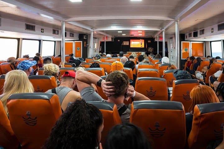 Cancun to Cozumel Day Trip: Round-Trip Bus & Ferry with Free Time photo 3