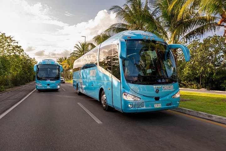 Cancun to Cozumel Day Trip: Round-Trip Bus & Ferry with Free Time