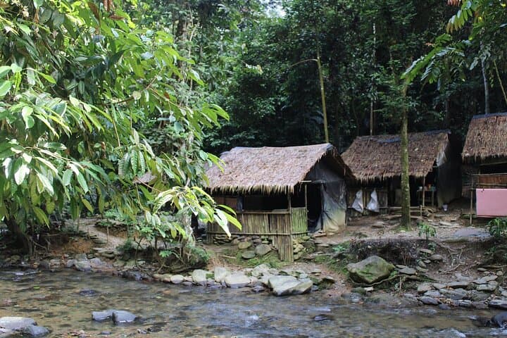 Bukit Lawang 4-Day Ethical Jungle Trek and Orangutan Experience photo 3