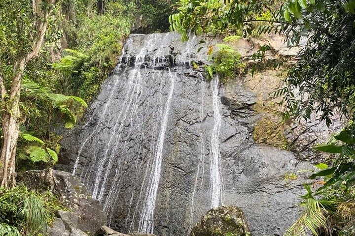 El Yunque Rainforest VIP Experience — Private Rainforest Tour from San Juan photo 2