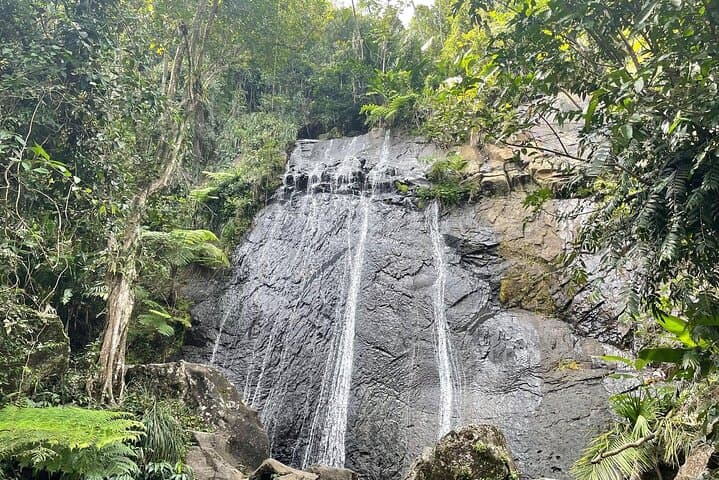 El Yunque Rainforest VIP Experience — Private Rainforest Tour from San Juan photo 5