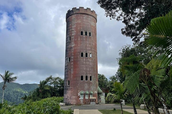 El Yunque Rainforest VIP Experience — Private Rainforest Tour from San Juan