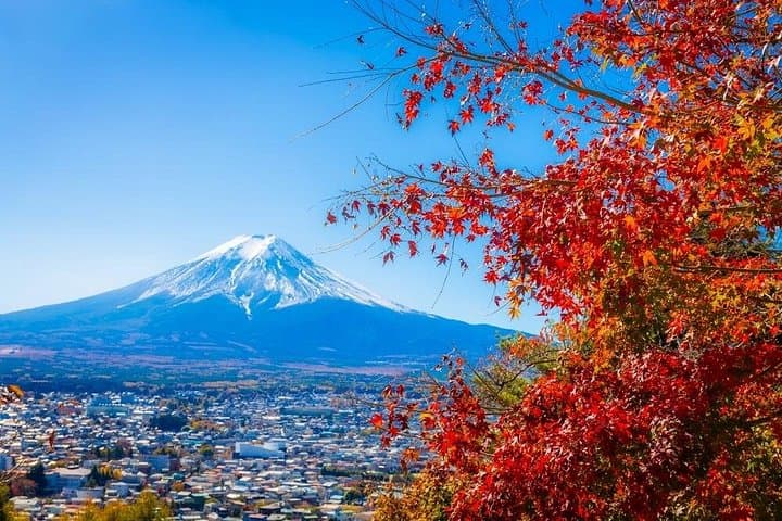 Private Mt Fuji Day Trip: Kawaguchi, Hakone & Yokohama Custom Car Charter from Tokyo photo 2