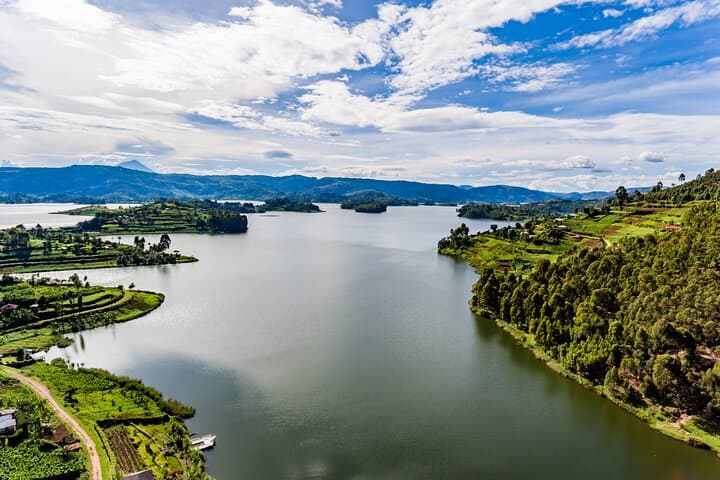 3-Day Bwindi Gorilla Trekking & Lake Bunyonyi Fly-In Safari photo 5
