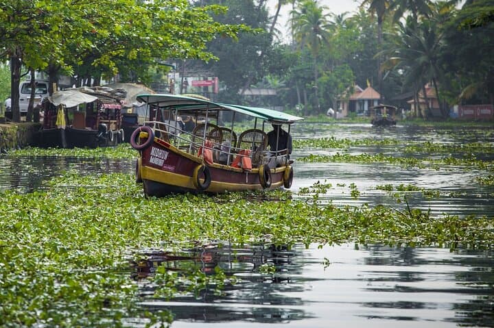 5-Day Kerala Tour: Munnar, Thekkady & Private Houseboat in Alleppey photo 3