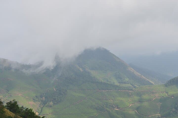 5-Day Kerala Tour: Munnar, Thekkady & Private Houseboat in Alleppey photo 4
