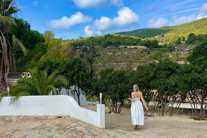 Alicante Private Wine Tastings & Tapas at Two Boutique Wineries photo 6