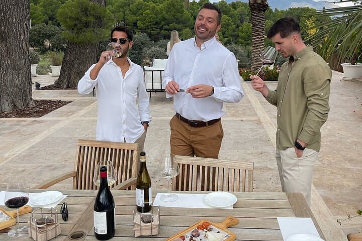 Alicante Private Wine Tastings & Tapas at Two Boutique Wineries photo 5