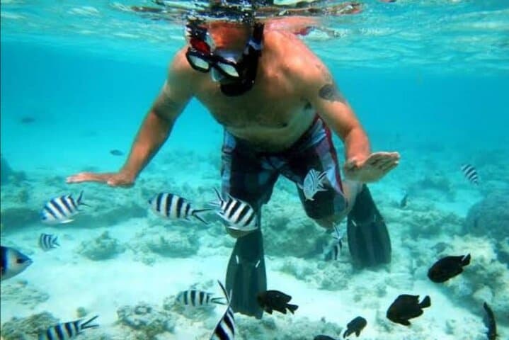 Mnemba Island Dolphin & Snorkeling Tour: Swim with Wild Dolphins at Mnemba Atoll photo 2