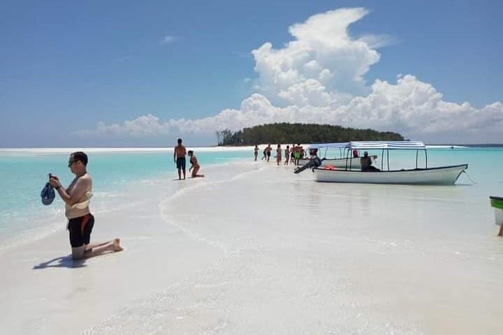 Mnemba Island Dolphin & Snorkeling Tour: Swim with Wild Dolphins at Mnemba Atoll photo 4
