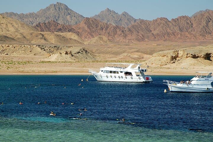 Marsa Alam Snorkeling with Dugongs and Sea Turtles — Day Cruise from Port Ghalib photo 6