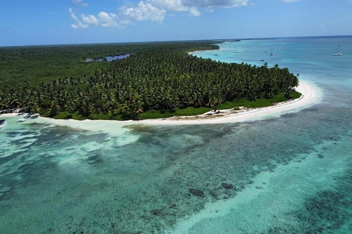 Saona Island Speedboat Tour: Private Beach & Snorkeling from Bayahibe photo 4