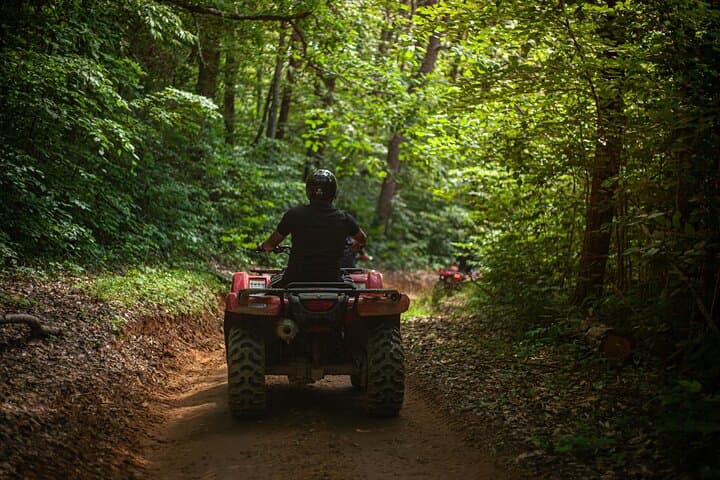 Batumi Extreme Escape: Buggy, Parasailing & Horse Riding at Mtirala National Park