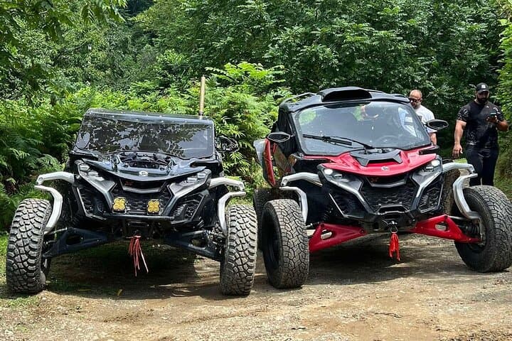 Batumi Extreme Escape: Buggy, Parasailing & Horse Riding at Mtirala National Park photo 5